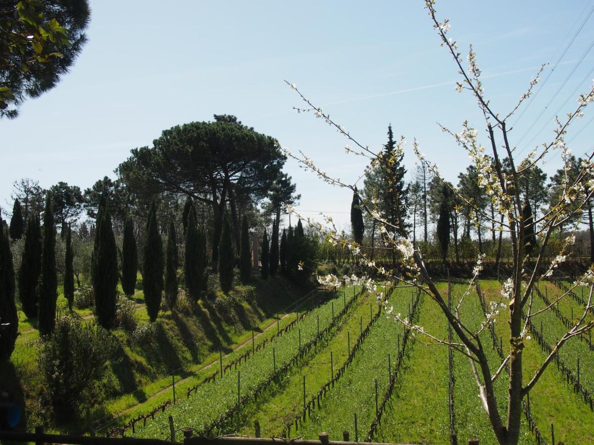 Agriturismo Gli Archi 파우글리아 외부 사진