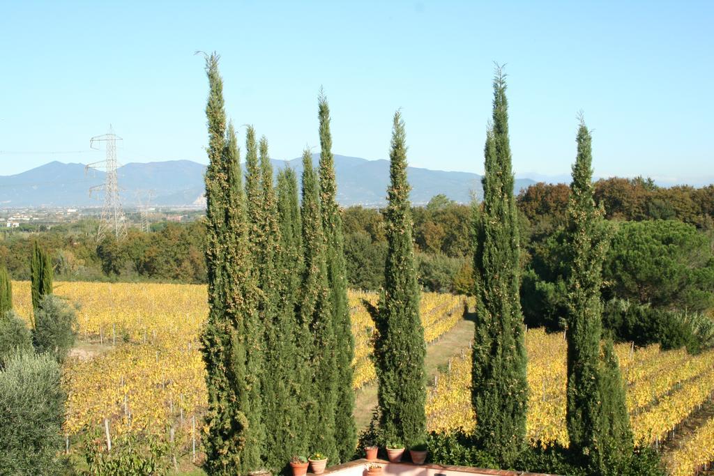Agriturismo Gli Archi 파우글리아 외부 사진