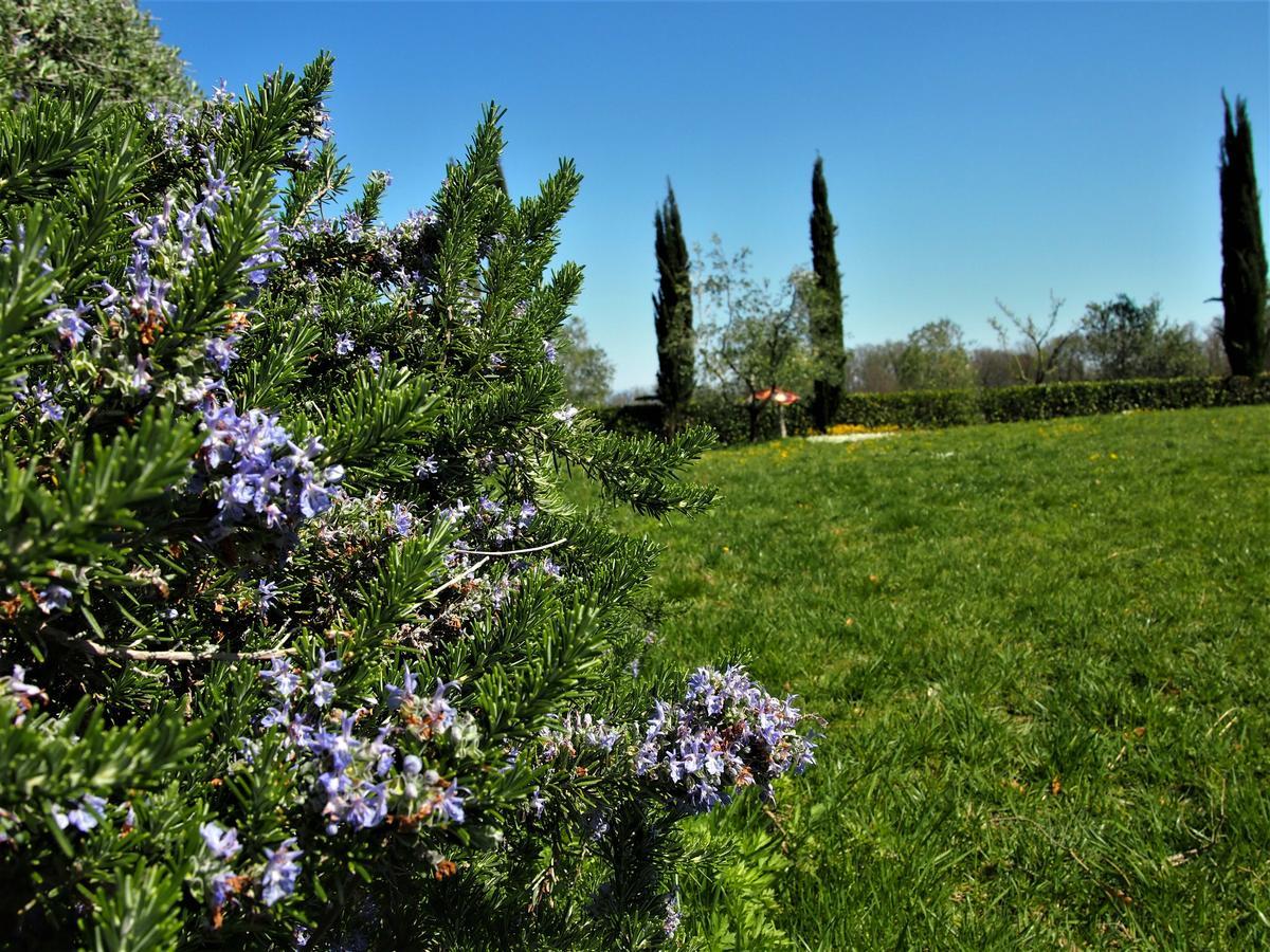 Agriturismo Gli Archi 파우글리아 외부 사진
