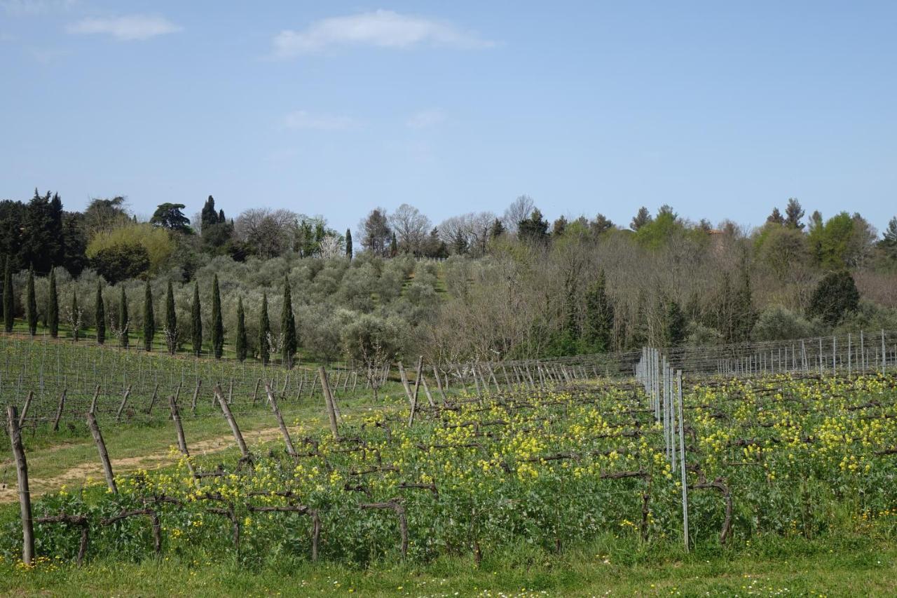Agriturismo Gli Archi 파우글리아 외부 사진